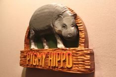 Zoo Signs | Animal Signs | Wildlife Signs | Hand Carved Custom Signs By Lazy River Studio 2 small