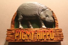 Zoo Signs | Animal Signs | Wildlife Signs | Hand Carved Custom Signs By Lazy River Studio 1 small