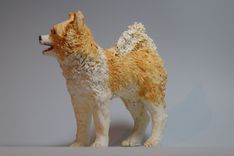 Mixed Breed—Merle 2 small