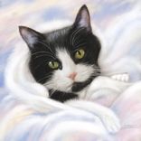 Realistic Custom Pet, Dog, Cat Portrait Painting On Canvas Or Archival Paper 1 small