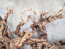 Rare Grape Vine Art From Opus 1 - Unpruned Retired Napa Cabernet Grapevine  100121-73 4 small