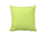 Egg Pillow - Dinning Room Pillow - Colorful Fun Pillow 2 small