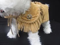Wild West Cowboy Suede Dog Coat 1 small
