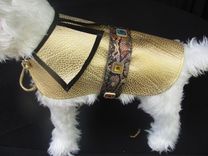 Gold And Jeweled "Python" Leather Dog Coat 1 small
