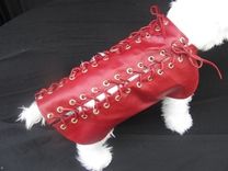Tie-Me-Up Laced Leather Dog Clothes 1 small