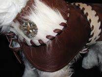 Western Leather And Hair-On Cowhide Dog Clothes 2 small
