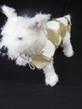60'S Mod Retro Checkerboard Leather Dog Clothes 1 small