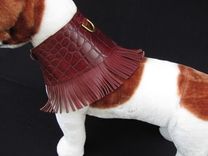 Patterned Leather Fringed Dog Collar. 2 small