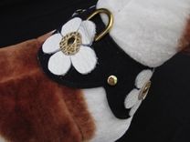 Patterned Leather Fringed Dog Collar. 3 small