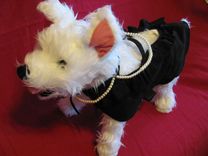 "Little Black Dress" Suede Dog Clothes With Pearls. 1 small