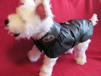 Biker Buddy Leather Dog Clothes 1 small