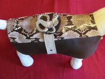 Python Belted "Python" And Leather Dog Coat. 3 small