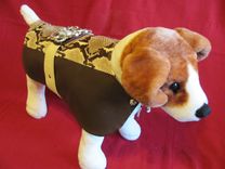 Python Belted "Python" And Leather Dog Coat. 4 small