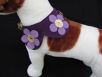 Flower Power Dog Collar 2 small