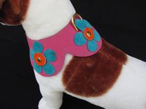 Flower Power Dog Collar 4 small