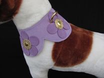 Flower Power Dog Collar 5 small