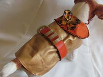 Antique Butterfly Trimmed Metallic Leather Dog Coat 5 small