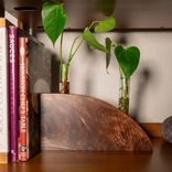 Propagation Vase:  Crimson And Clover 1 small