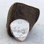Custom State Quarter The Original Coin Guitar Picks® In Standard Or 90% Silver Proof 2 small