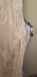 Spalted Elm Live Edge Slab Kiln Dried 54 Inches E101 6 small