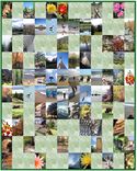48 X 60 Family Photographs Art Quilt - Vert Photos 1 small