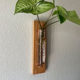 Propagation Vase - Here Comes The Sun 5 small