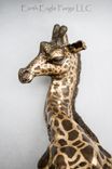 Bronze Sleepy Baby Giraffe 1 small