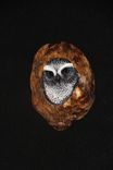 Hand Carved And Painted Owls In Oak 1 small