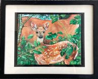 Available Fawn Painting 2 small