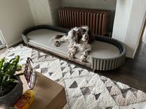 Dog Bed 3 small