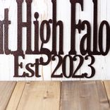 Aint High Falootin Southern Saying Metal Sign, Grandma & Grandpa Rocking Chair Front Porch Plaque, Established Year Wedding Anniversary Gift 4 small