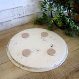 Dragonfly Decor Dragonfly Perfume Tray Vanity Tray Jewelry Tray 2 small