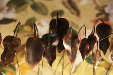 Leaf Guest Bathroom Sconce 4 small