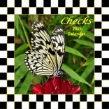 Black And White Checks Wall Decor 2025 Calendar Whimsical Checks Home Decor 1 small