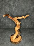 Bug Track Juniper Turkey Taxidermy Pedestal 1 small