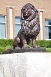Bronze Lions Life Size Bronzes - Custom Bronze Statues & Sculptures - Lost Wax Casting 3 small