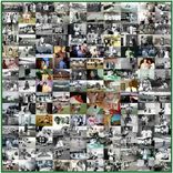 60 X 60 Family Photographs Art Quilt - Horiz. Photos 1 small