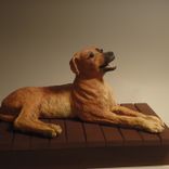 Yellow Lab Mix — Sweetie 1 small