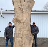 Single Slab Live Edge Dining Table Deposit 1 small