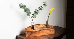 Life On Mars Propagation Vase 3 small