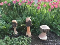 Rustic Garden Mushrooms 1 small
