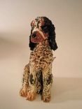English Spaniel — Lucy 1 small