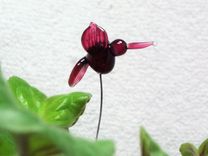 Lampwork Glass Hummingbird Plant Accessory 2 small