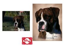 Custom Pet Portrait 2 small