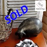 Rustic Black Sheep Figurine Primitive Sheep Farm Decor 1 small