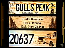 Family Name Sign, Custom Wood Signs, Call 609 864-8210,Established Sign, Personalized 1 small