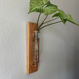 Propagation Vase - Here Comes The Sun 6 small