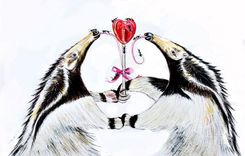 Anteater Valentine's Card or Print - Romantic Anteaters sharing  a Lollipop 1 small