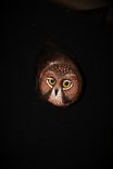 Wood Owl Wall Bird Carving Sculpture 3 small