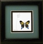 Butterflies - Quilled Swallowtail Butterfly Miniature Wall Art Framed 5 small